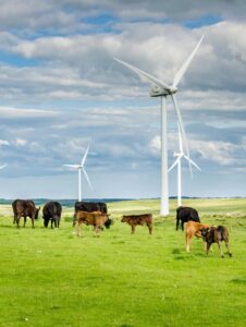 Energías renovables en el sector agrario